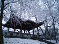 稽阁冬雪