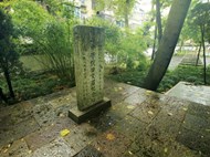 读碑讲史